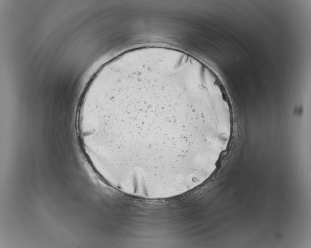 X0000113941144200911061235