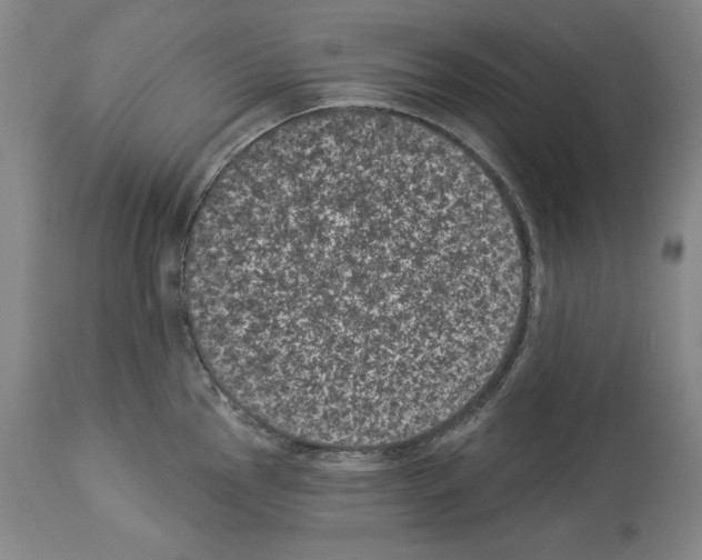 X0000113941145200911061235