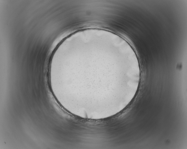 X0000113941146200911061235