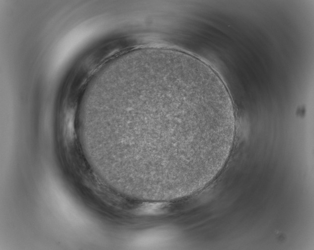 X0000113941150200911061235