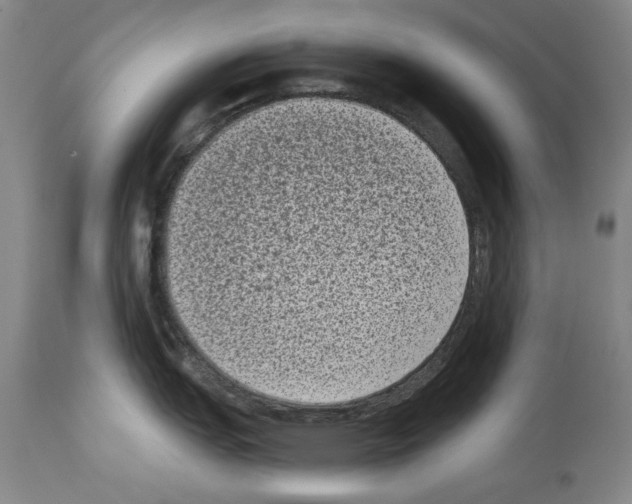 X0000113941151200911061235