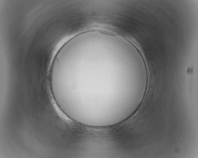 X0000113941152200911061235