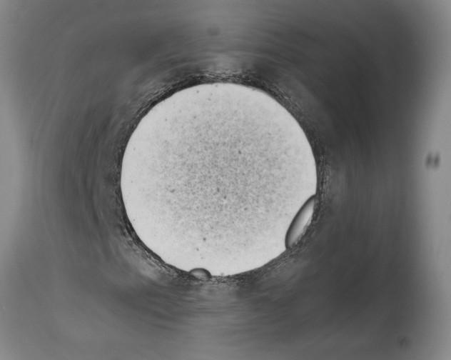 X0000113941153200911061235