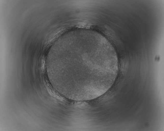 X0000113941154200911061235
