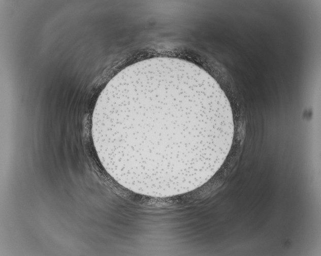 X0000113941156200911061235