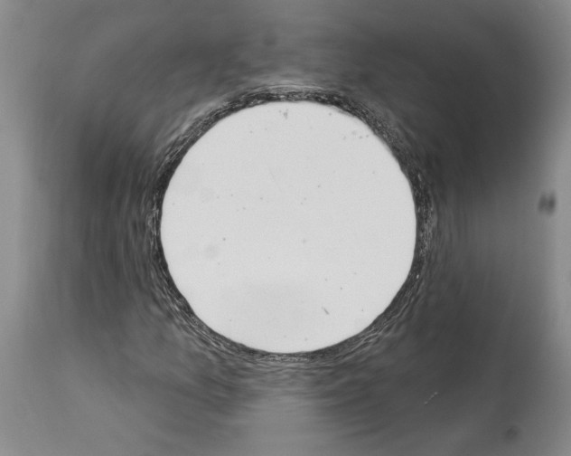 X0000113941157200911061235