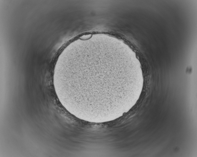 X0000113941160200911061235