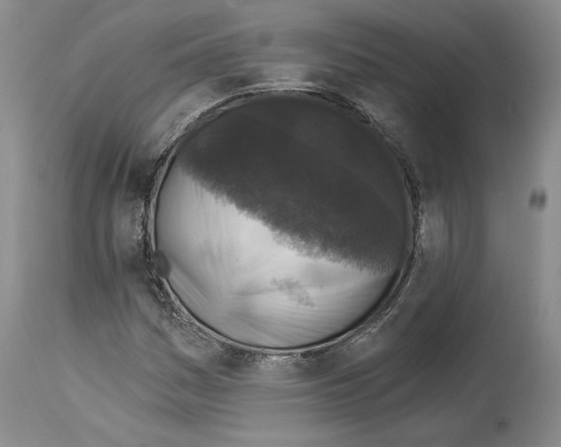 X0000113941161200911061235