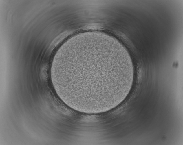 X0000113941162200911061235