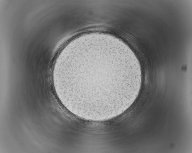 X0000113941164200911061235