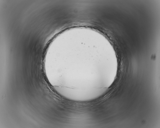 X0000113941165200911061234