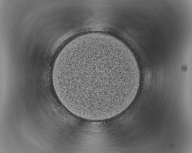 X0000113941166200911061234