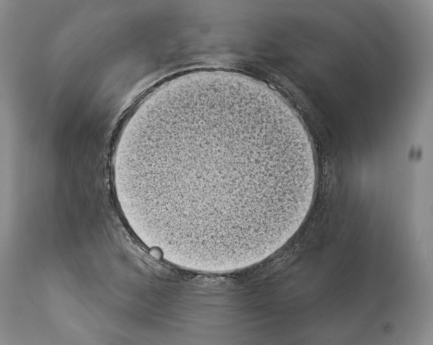 X0000113941168200911061234