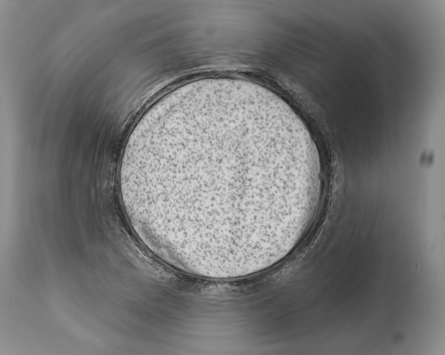 X0000113941169200911061234