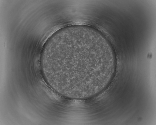 X0000113941170200911061234