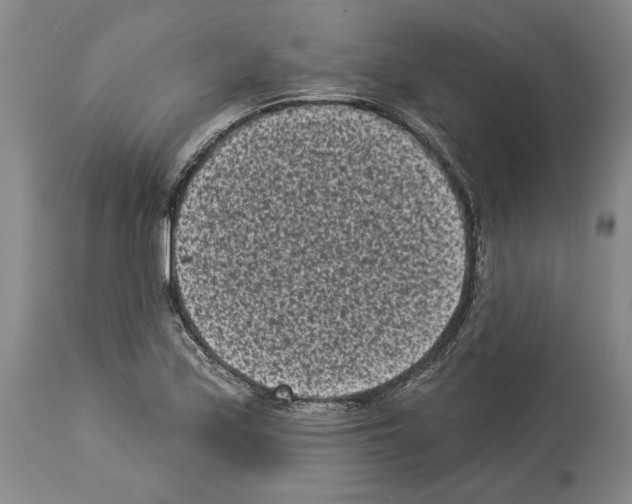 X0000113941171200911061234
