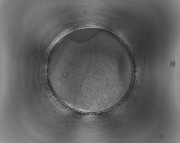 X0000113941173200911061234