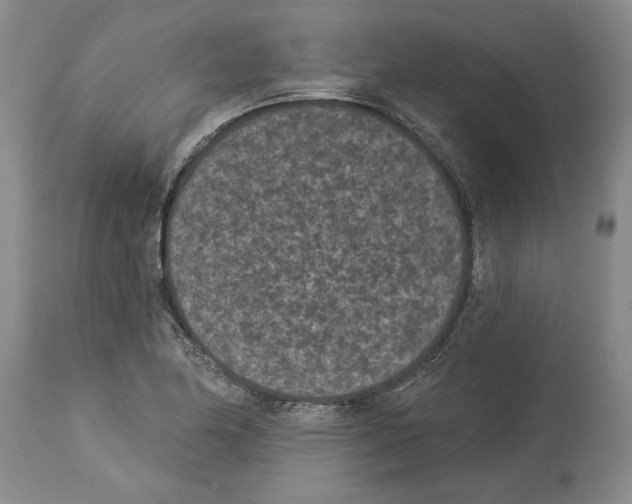 X0000113941174200911061234