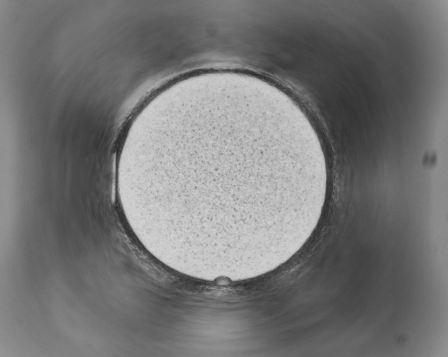 X0000113941175200911061234