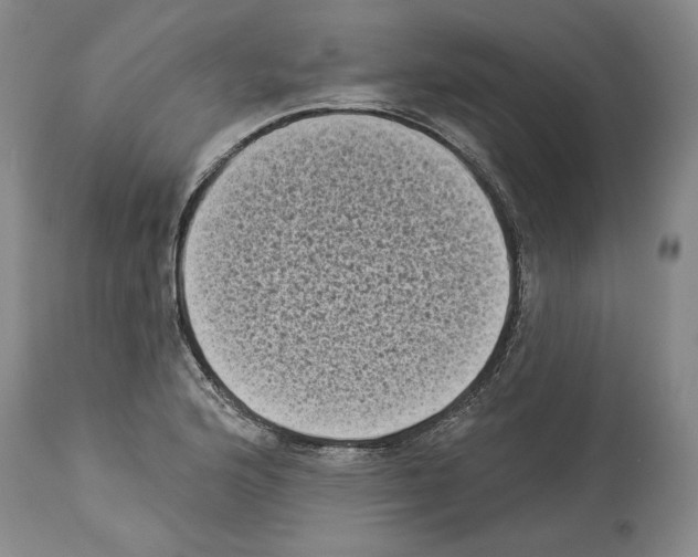 X0000113941176200911061234