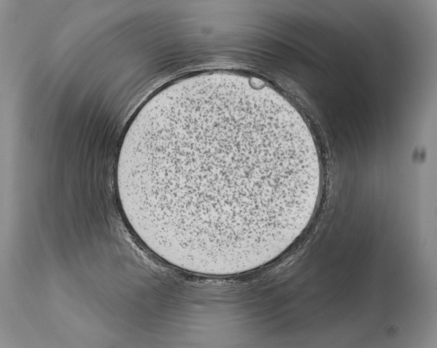 X0000113941177200911061234