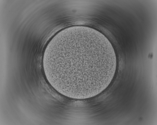X0000113941178200911061234