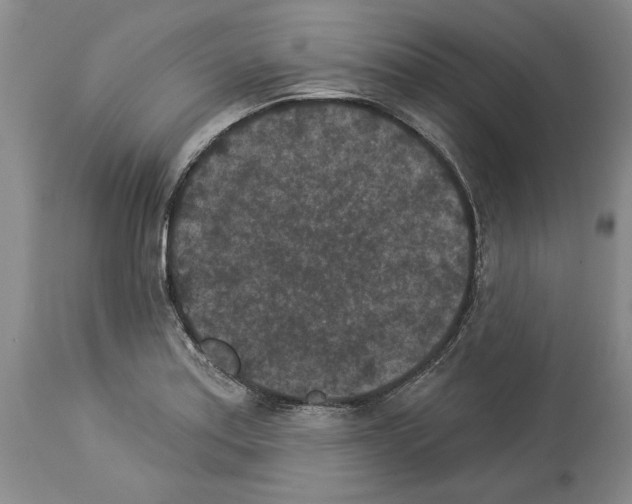 X0000113941179200911061234