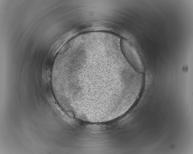 X0000113941185200911061234