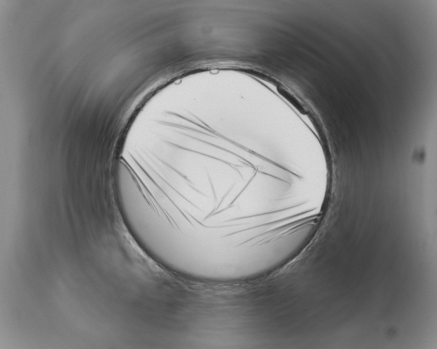 X0000113941189200911061234