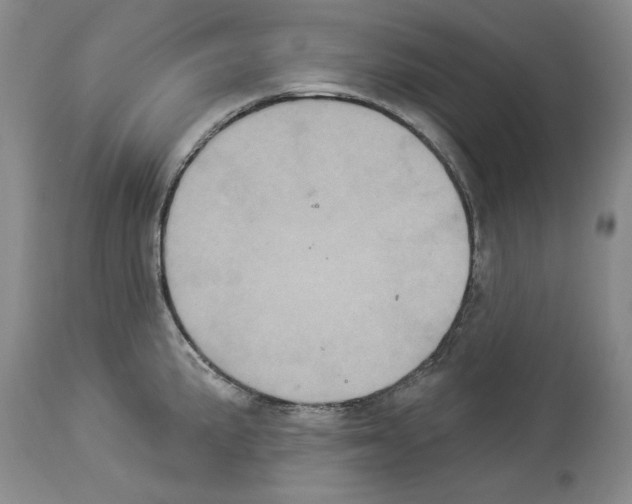 X0000113941191200911061234