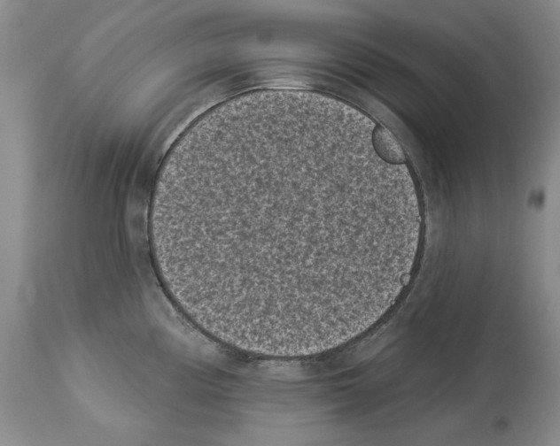X0000113941194200911061234