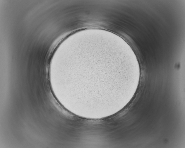 X0000113941196200911061234