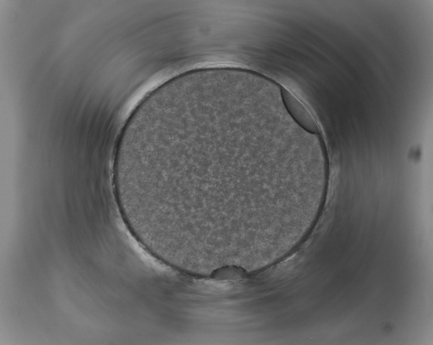 X0000113941197200911061234