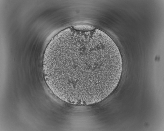 X0000113941200200911061234