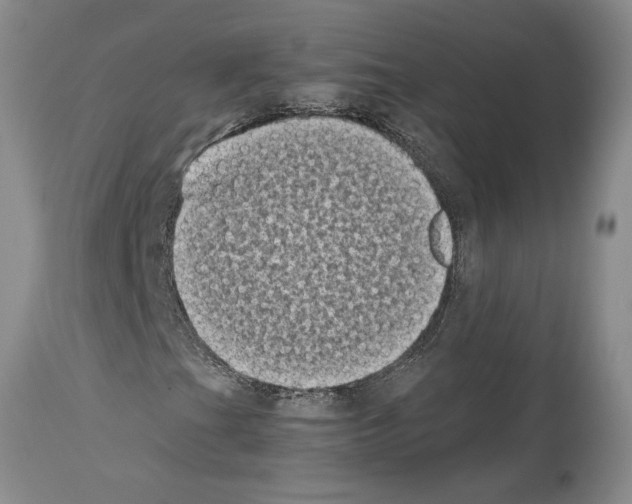 X0000113941201200911061233
