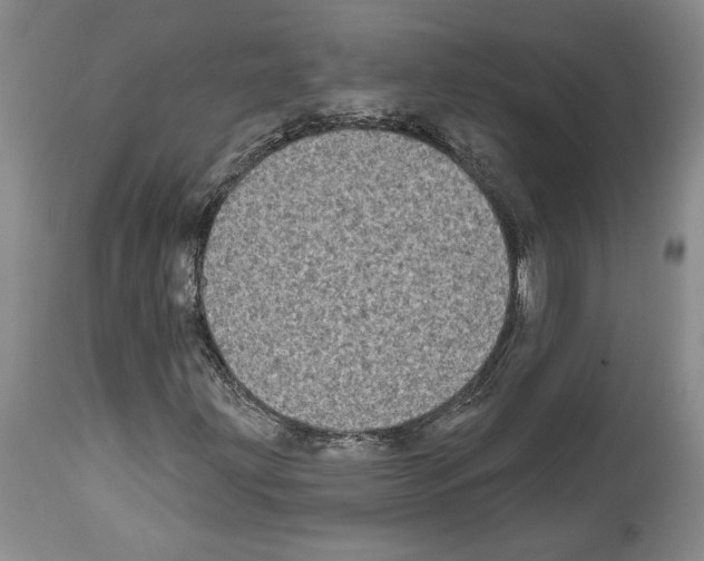 X0000113941203200911061233