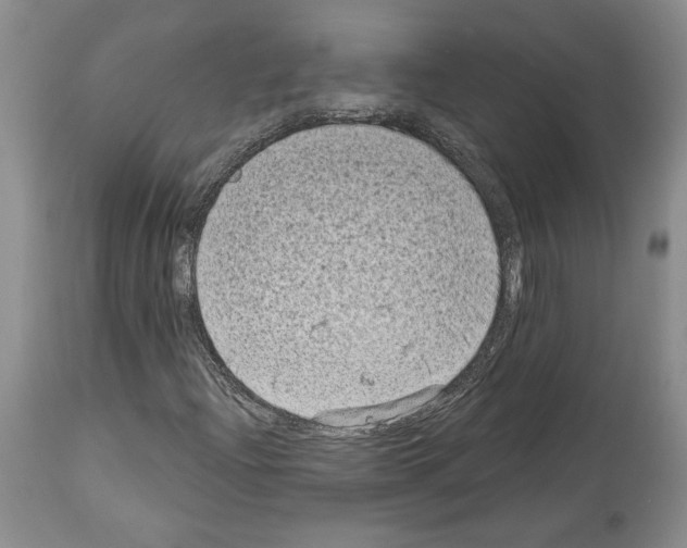 X0000113941204200911061233
