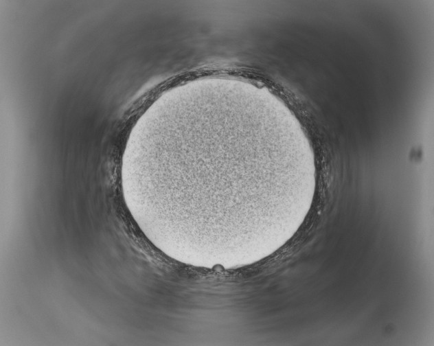 X0000113941206200911061233
