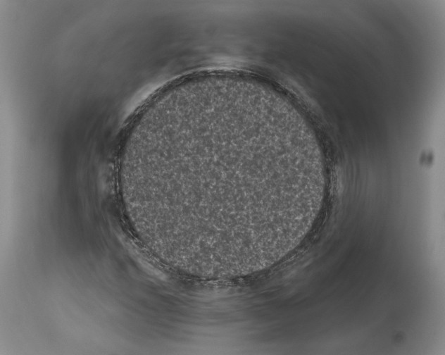 X0000113941208200911061233