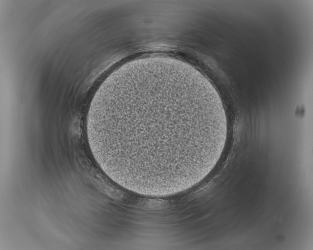 X0000113941209200911061233