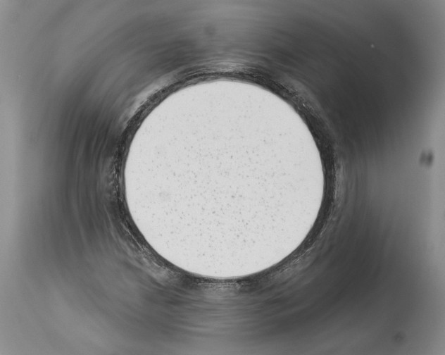X0000113941210200911061233