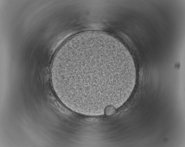 X0000113941212200911061234