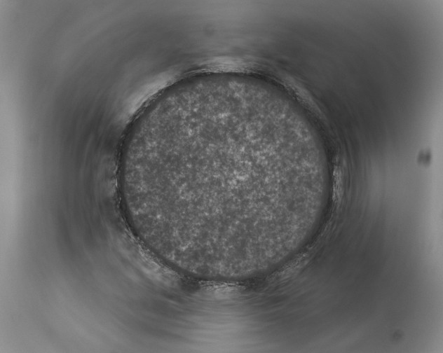 X0000113941213200911061234