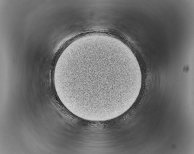 X0000113941214200911061234