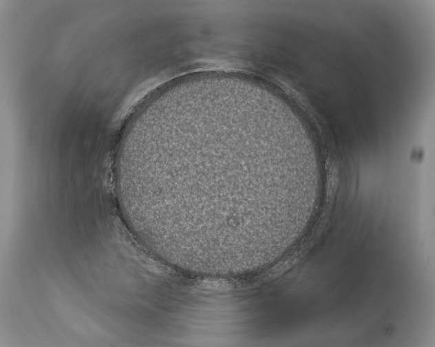 X0000113941215200911061234