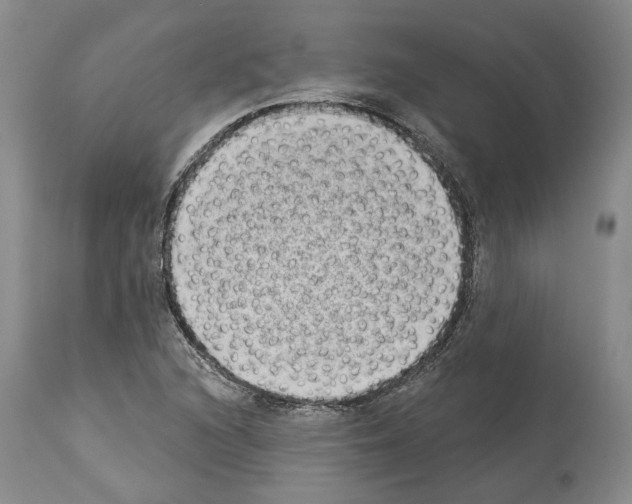 X0000113941216200911061234