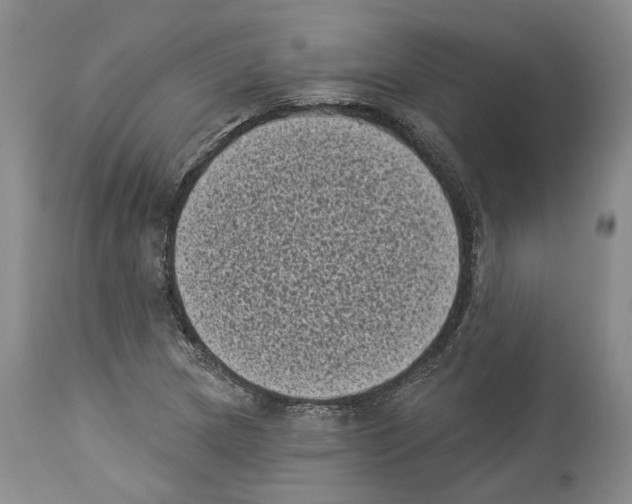 X0000113941217200911061234