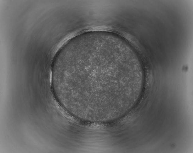 X0000113941221200911061234