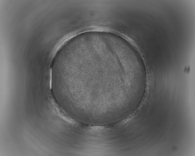 X0000113941223200911061234