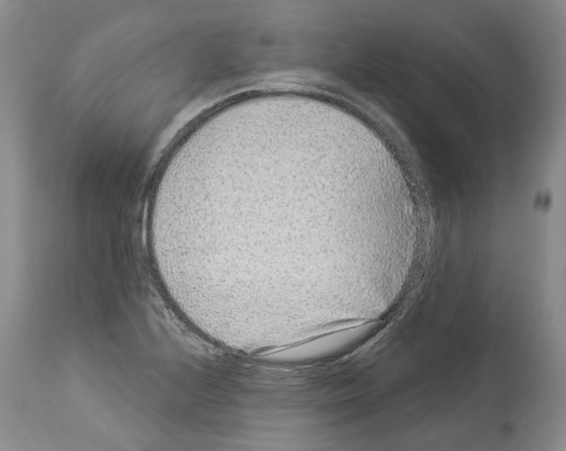 X0000113941224200911061234